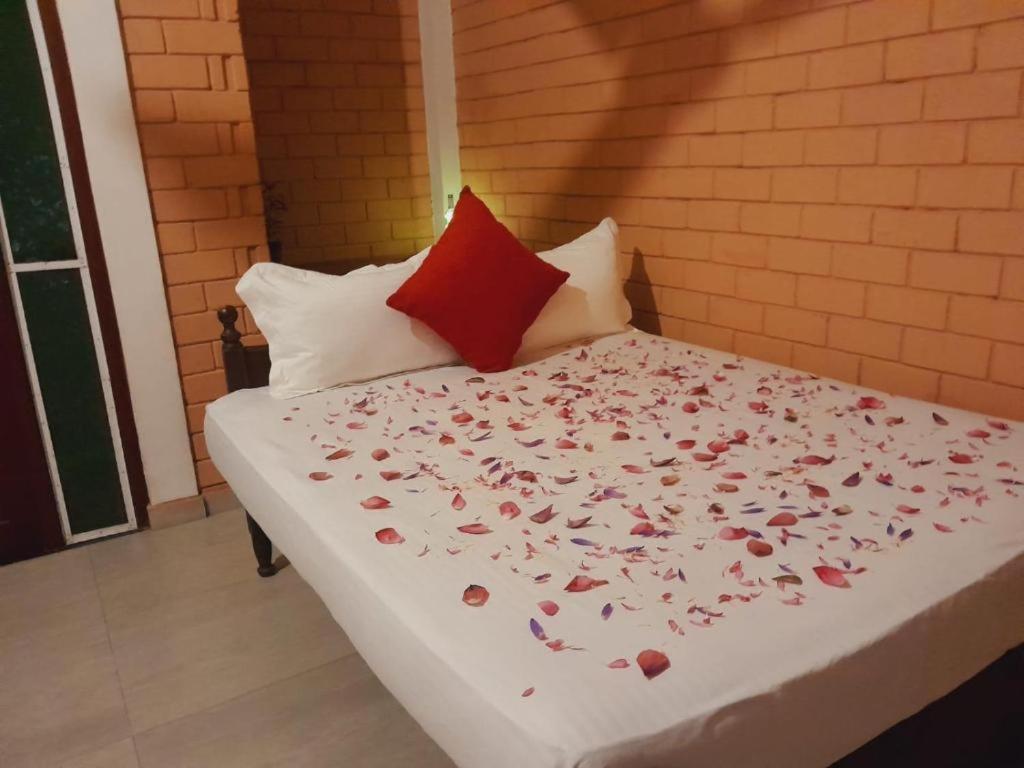 Laliz Bed & Breakfast กอลล์ ภายนอก รูปภาพ