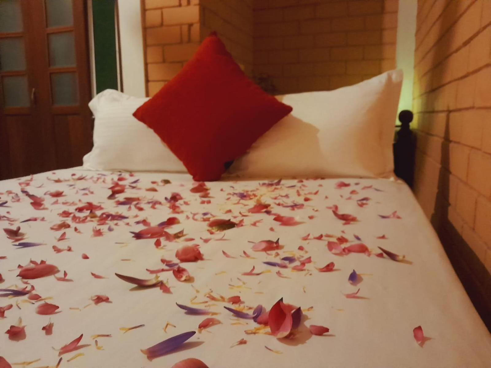 Laliz Bed & Breakfast กอลล์ ภายนอก รูปภาพ