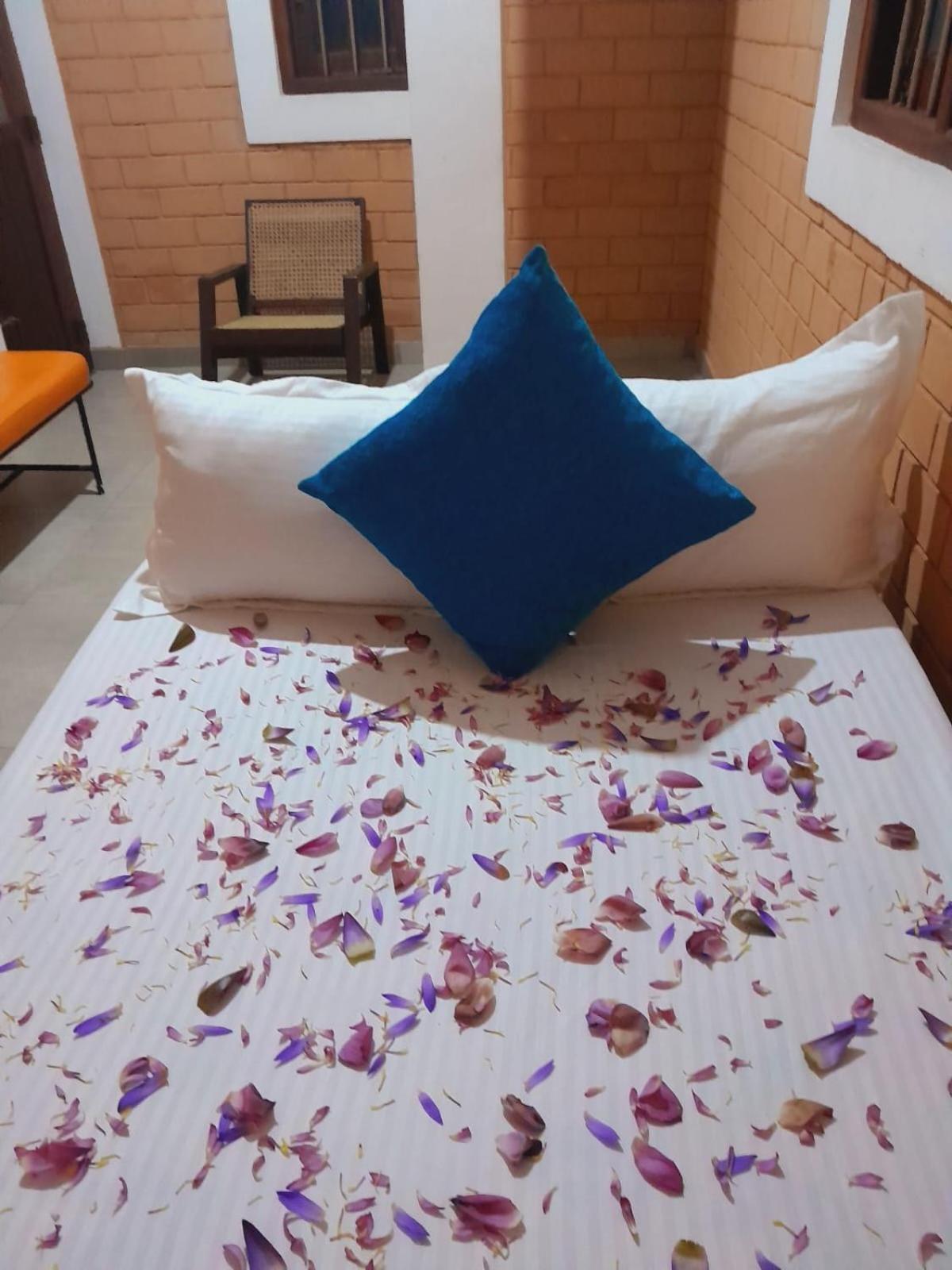 Laliz Bed & Breakfast กอลล์ ภายนอก รูปภาพ