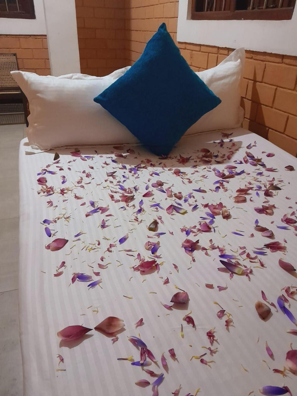 Laliz Bed & Breakfast กอลล์ ภายนอก รูปภาพ