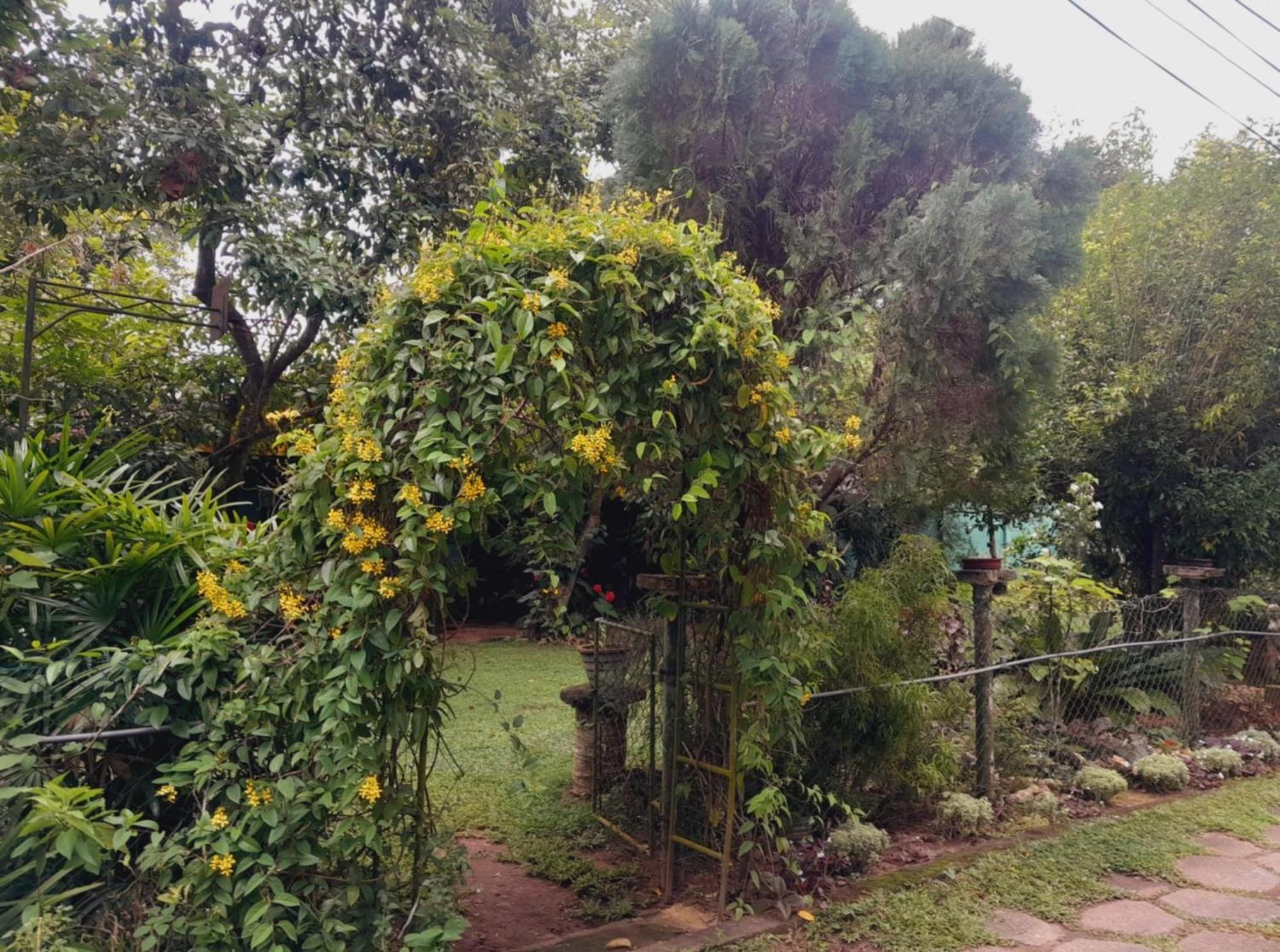 Laliz Bed & Breakfast กอลล์ ภายนอก รูปภาพ